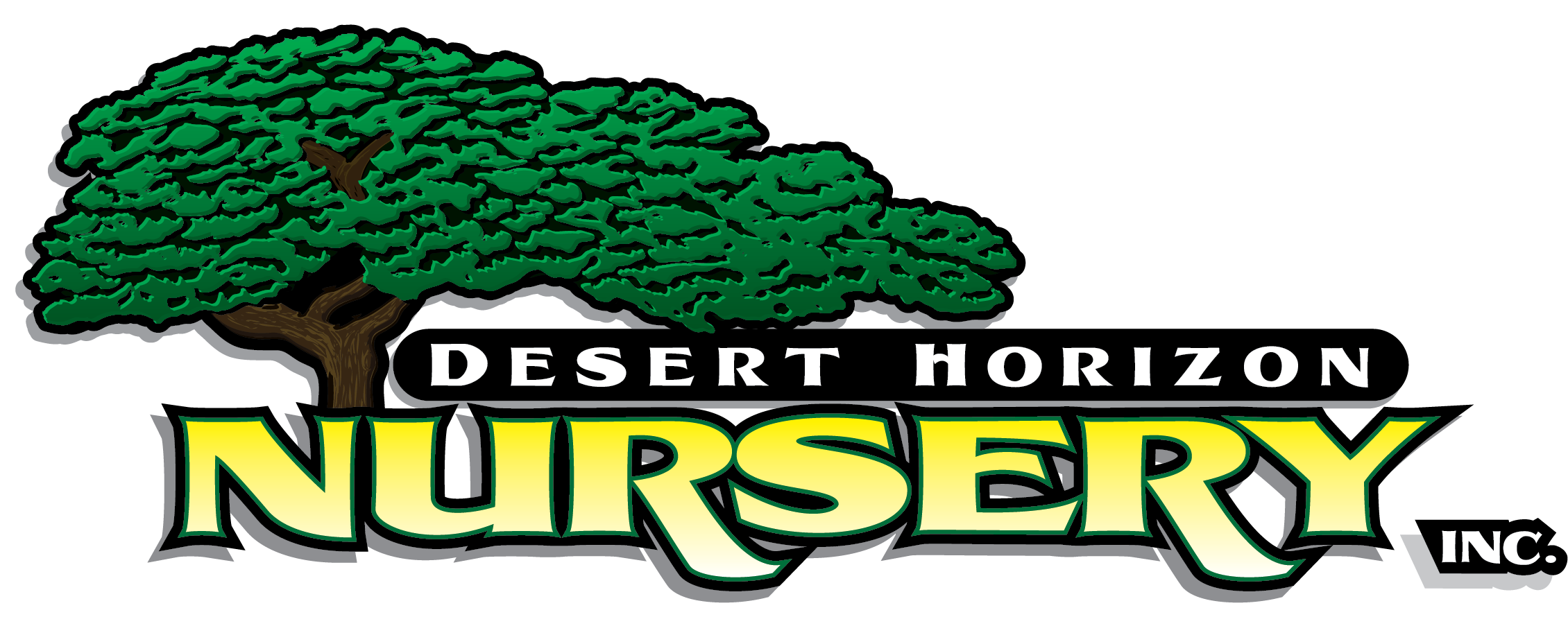 DHN POS